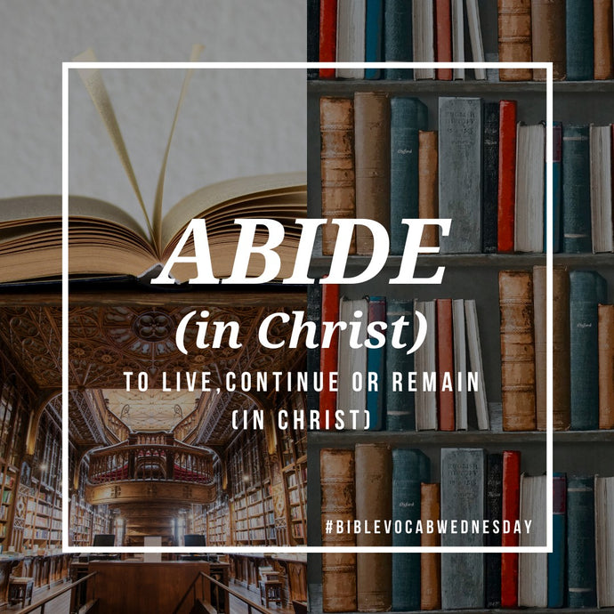 Bible Vocab: ABIDE